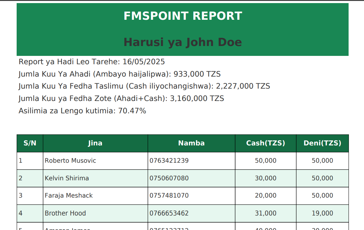 FMSPoint Report